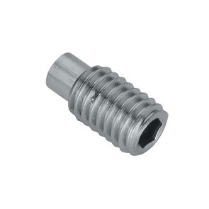 #21#FST-M8X16 SHSS DOG PT A2