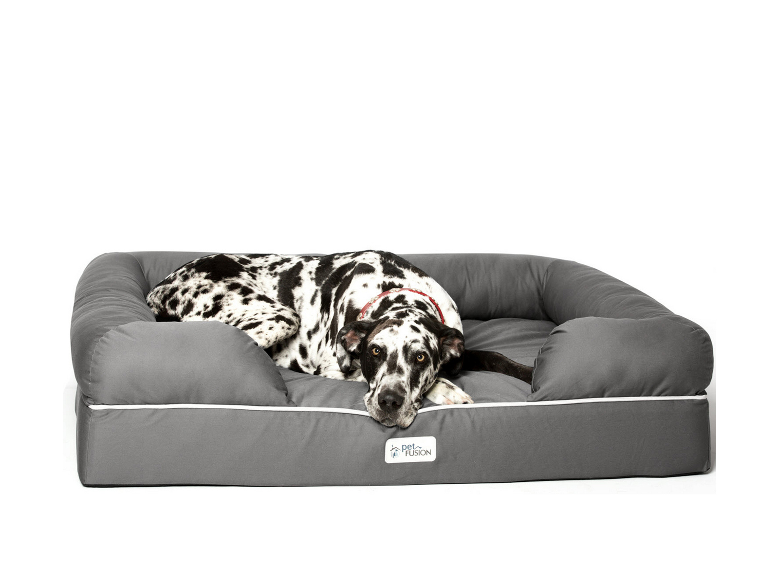 PetFusion Small Ultimate Dog Bed with Orthopedic Memory Foam | Slate Gray