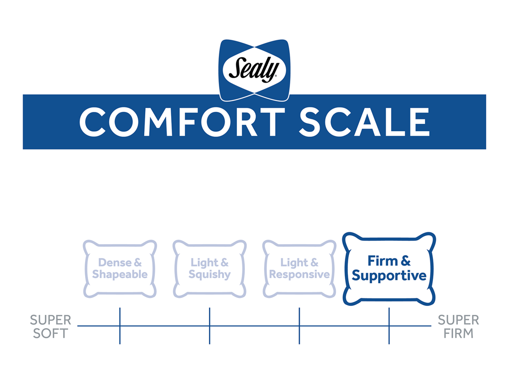 Sealy Extra Firm Support Pillow Mattress Firm