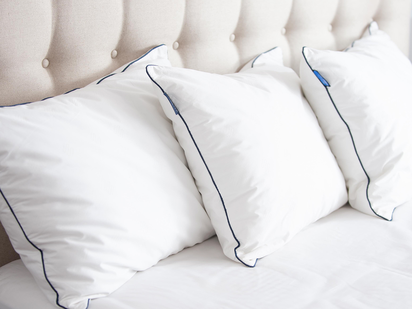 Sleepys Powered By Reactex Pillow | King | Medium Profile