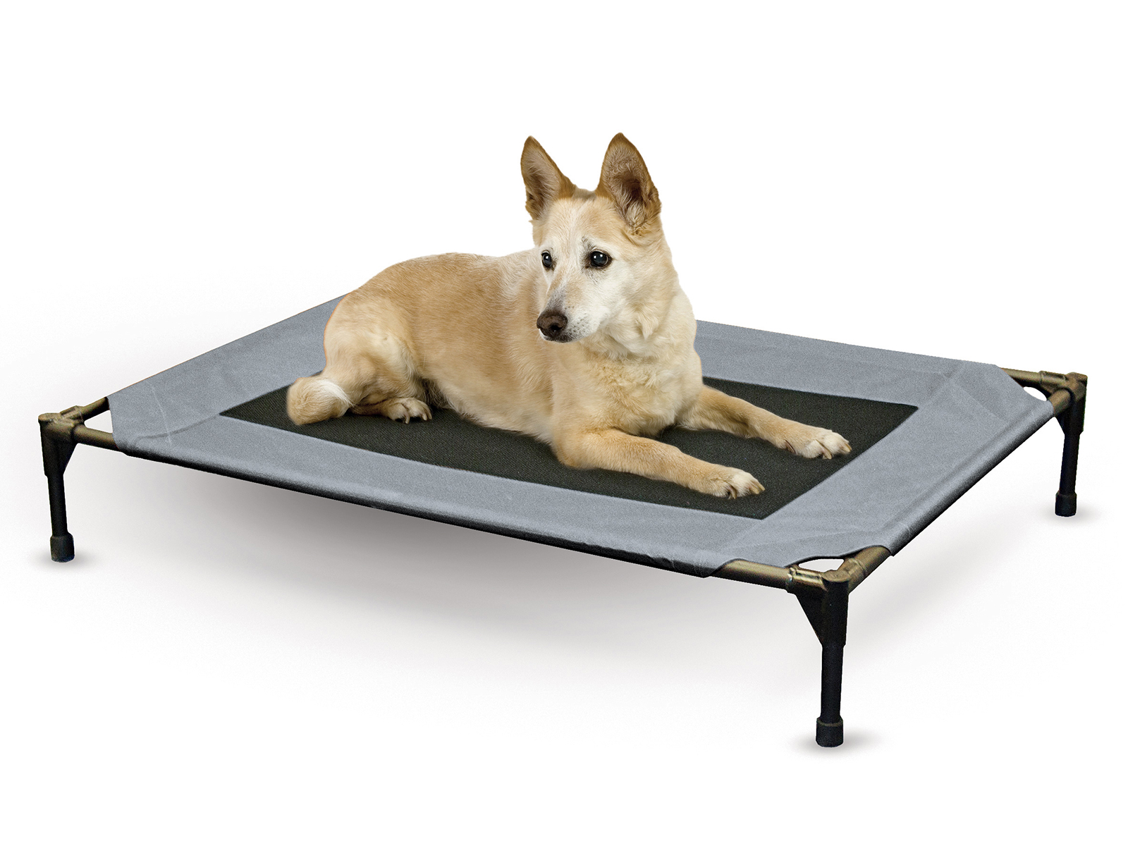 K and H Pet Products Large Original Pet Cot | Gray