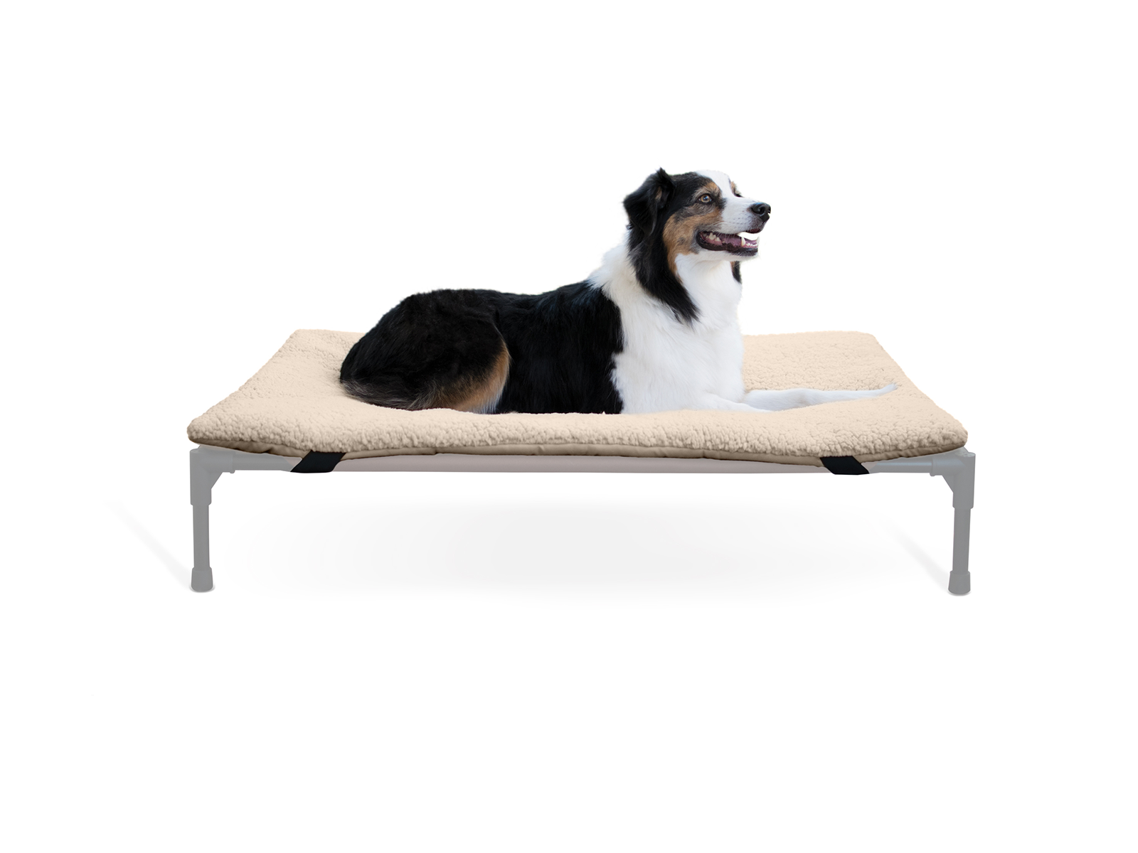 K and H Pet Products Large Original Pet Cot Pad