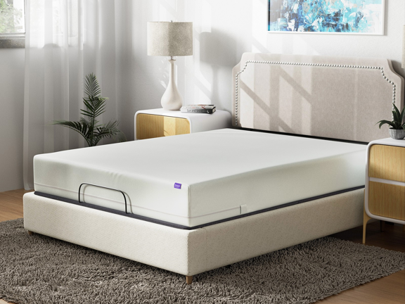 Signature Total Encasement Mattress Protector