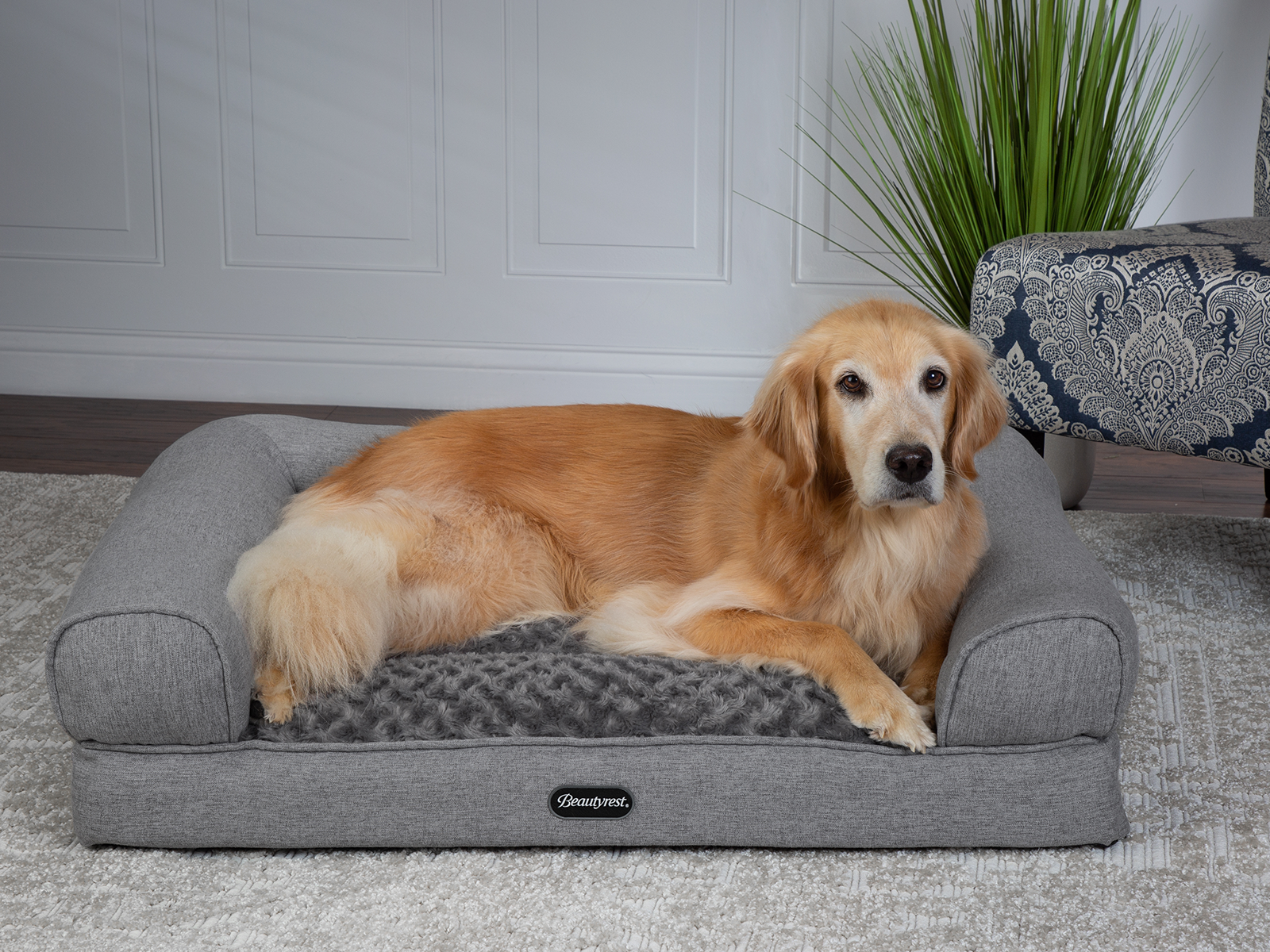 Luxury Lounger Pet Bed