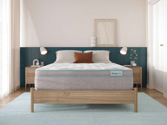 Midnight Dream II 14.25" Ultra Plush Pillow Top Mattress