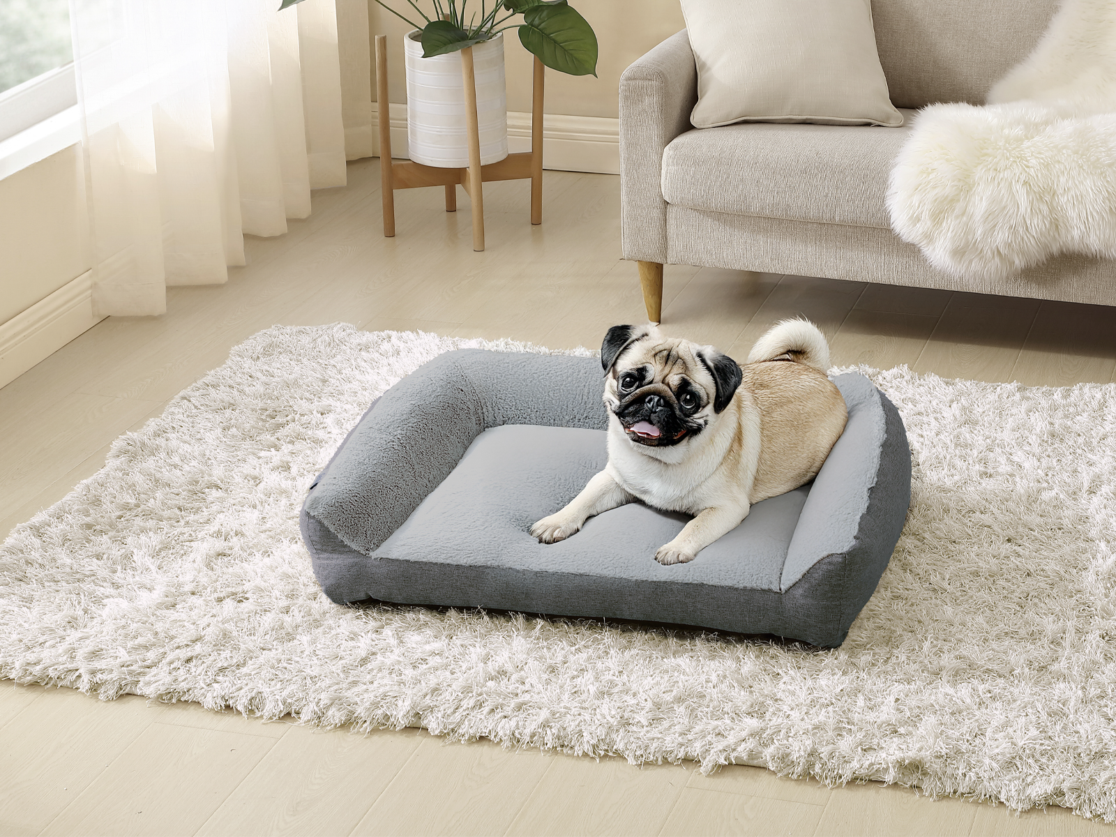 Supportive Pet Plush Couch