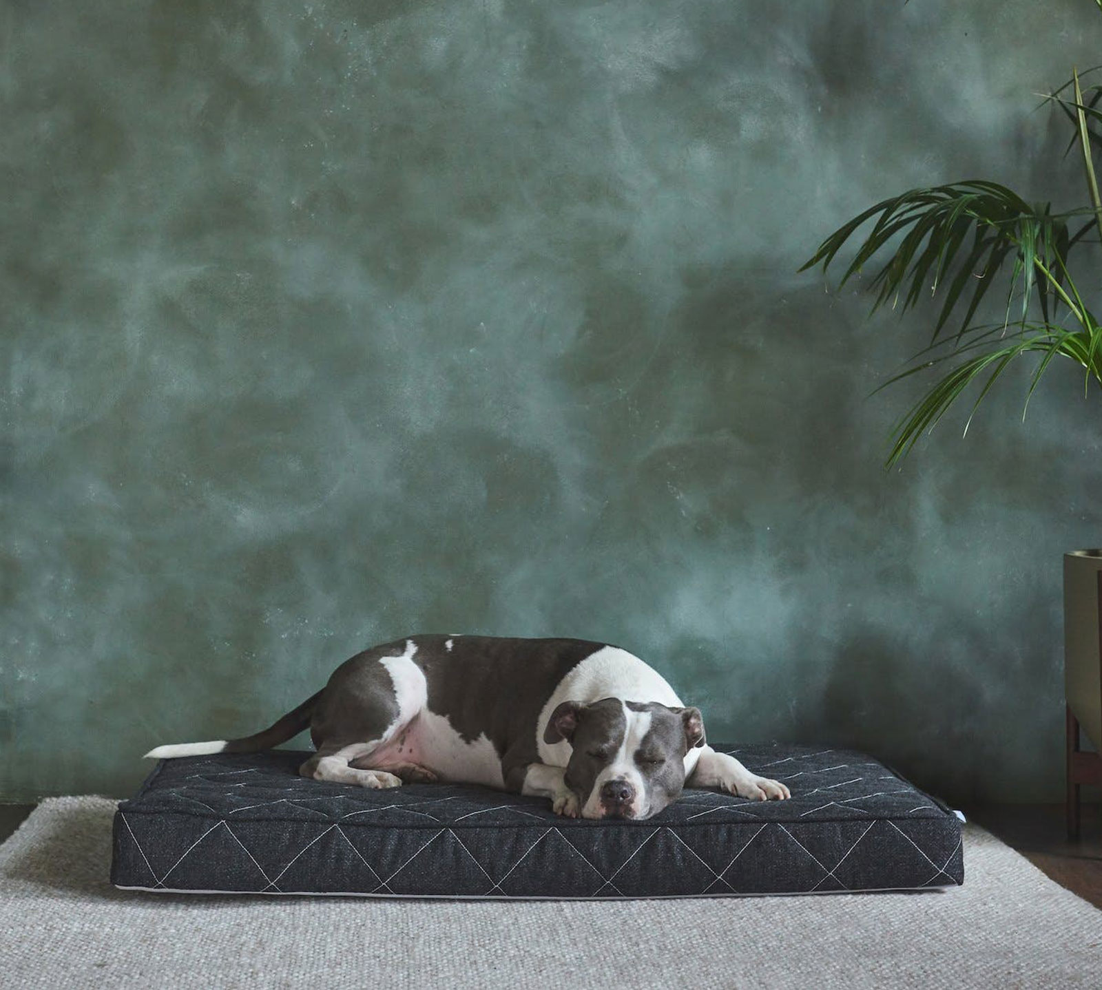 Brentwood Home Large Griffith Pet Bed | Charcoal