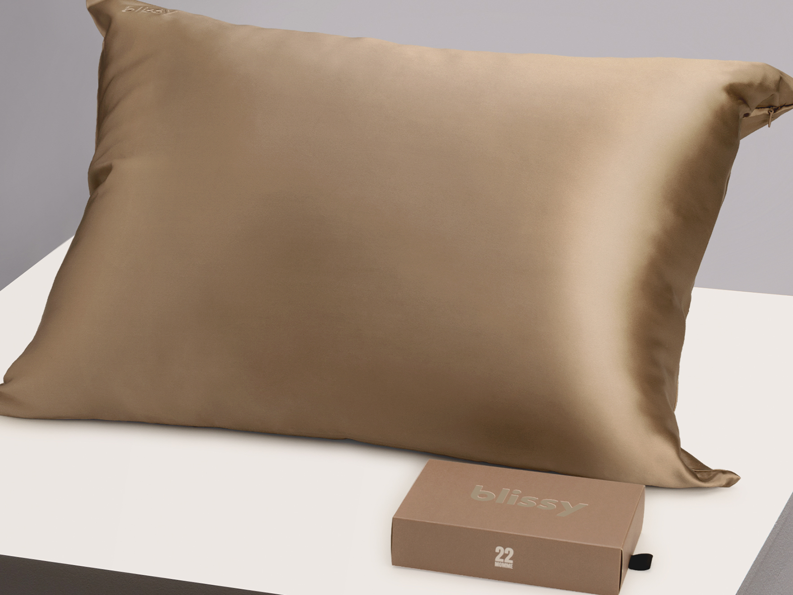 Blissy Queen 100% Mulberry Silk Pillowcase | Taupe