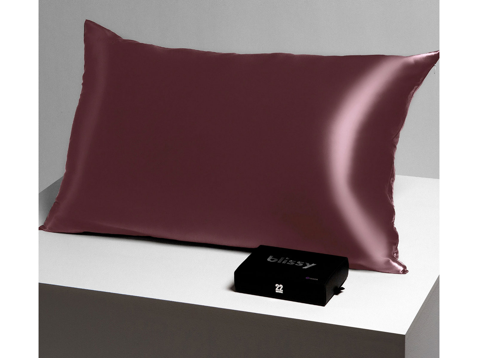 V000254845 Blissy Standard 100% Mulberry Silk Pillowcase | Pl sku V000254845