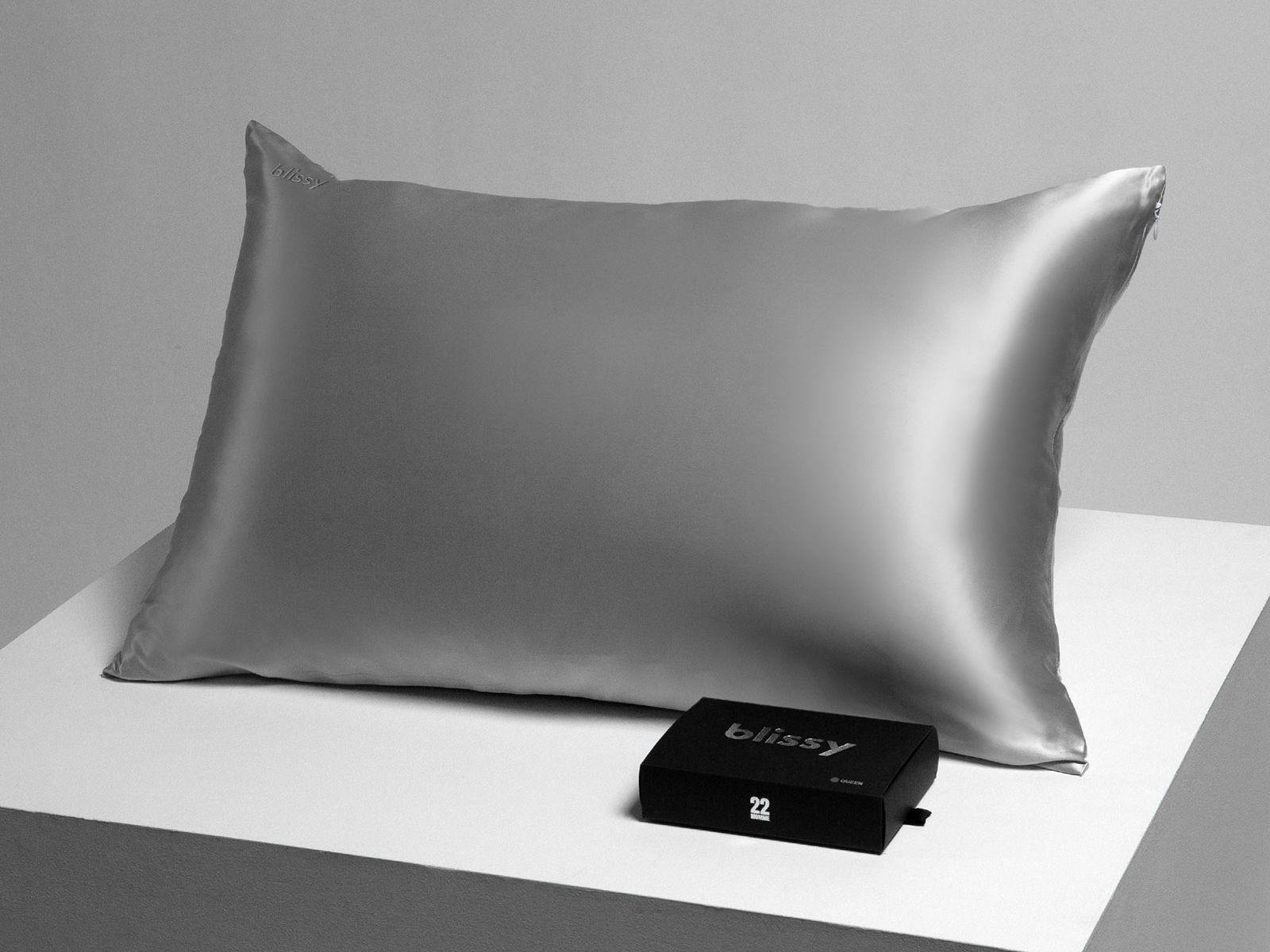 Blissy Standard 100% Mulberry Silk Pillowcase | Silver