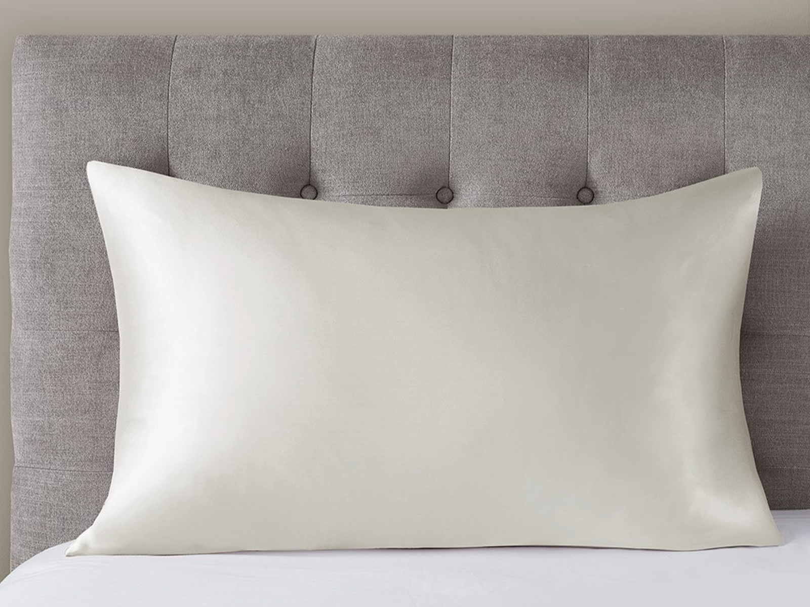 Madison Park Queen 100% Mulberry Silk Pillowcase | Ivory