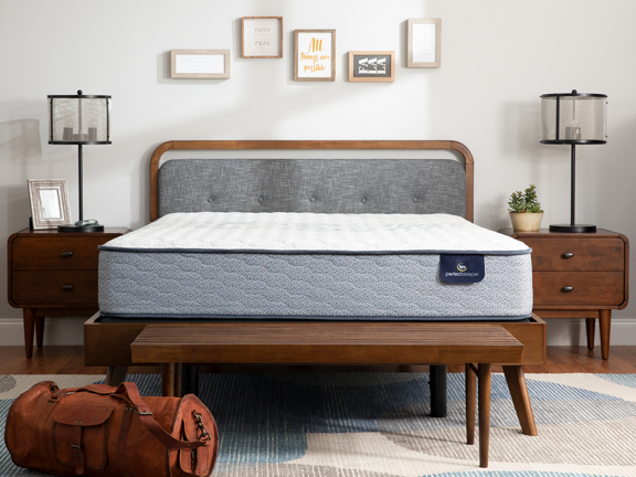 Perfect Sleeper Elkins III 10" Firm Mattress