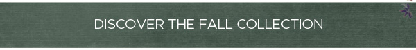 Discover The Fall Collection