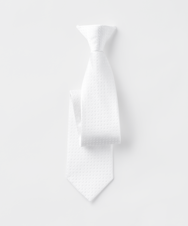 Clip-on tie main image 0