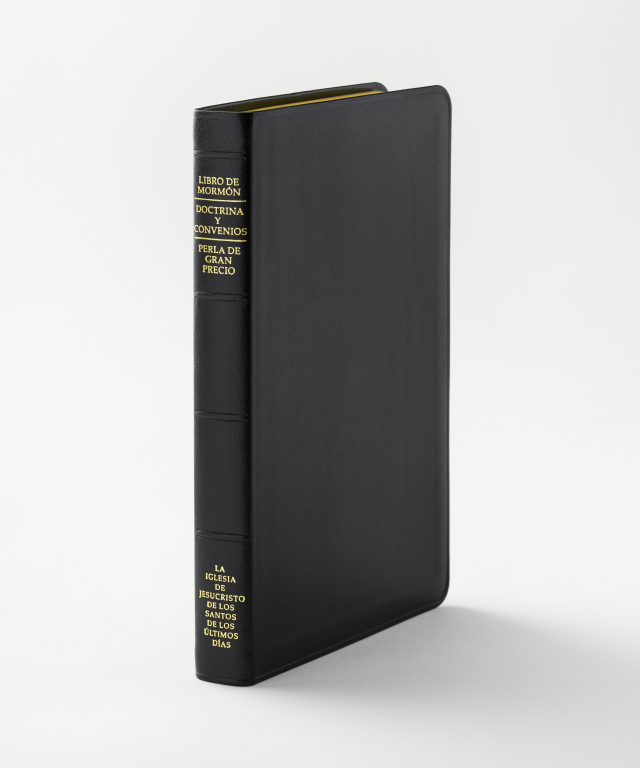 Thumb-indexed Genuine Leather Triple Combination |