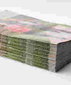 The Word of Wisdom (pack of 25)