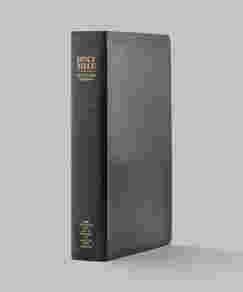 Large, Thumb-indexed Simulated Leather Bible