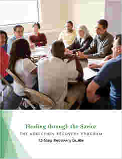 Addiction Recovery Program (Spiral-Bound)