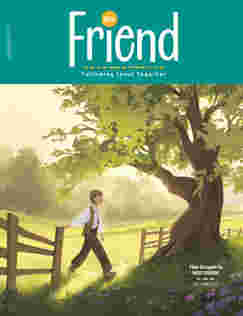Friend 2025 Issues