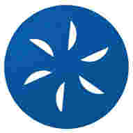 Norton 16in Sand Dollar Discs Blue / Coarse