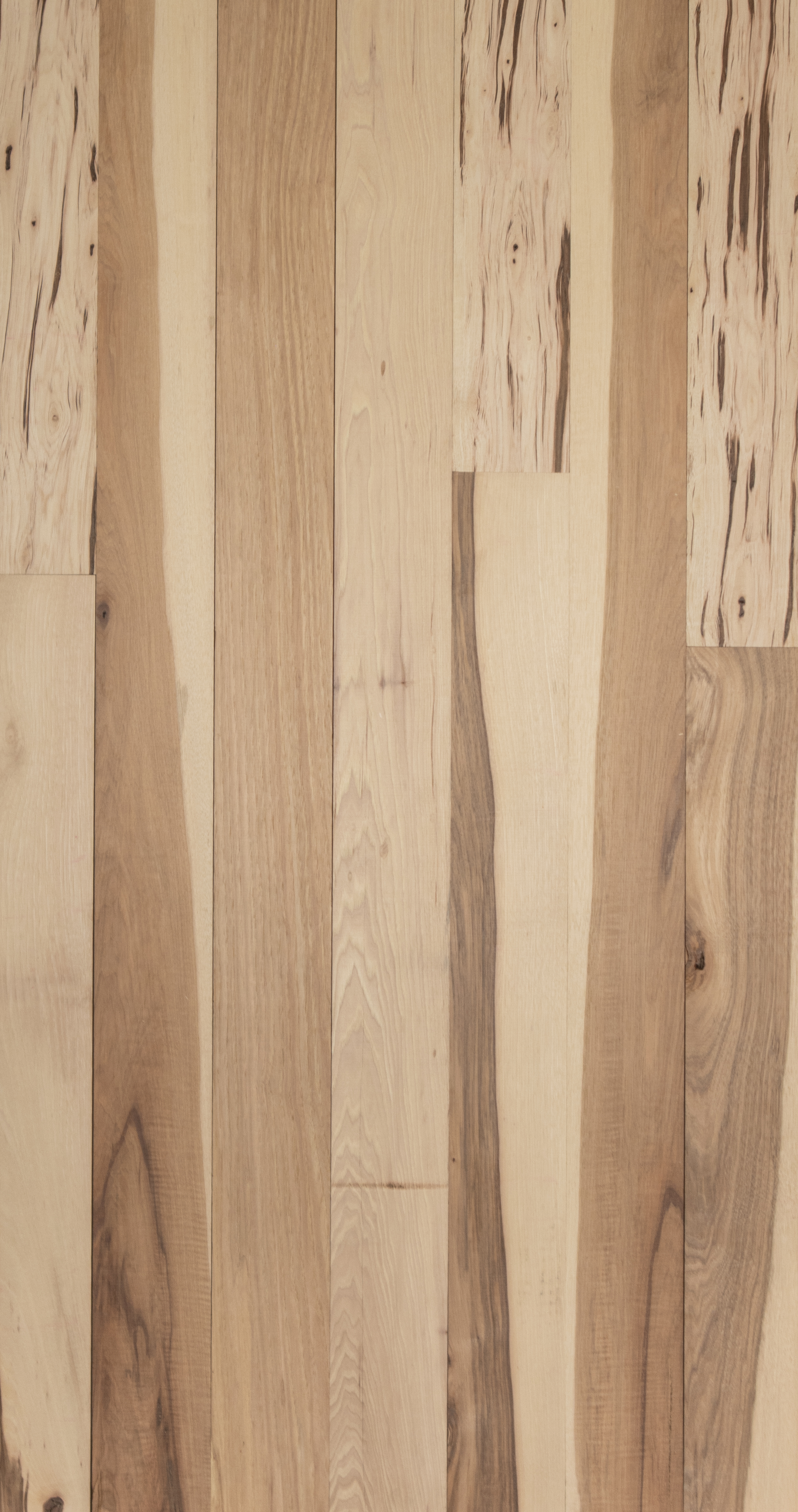 5" Hickory Euro Middle Tennessee