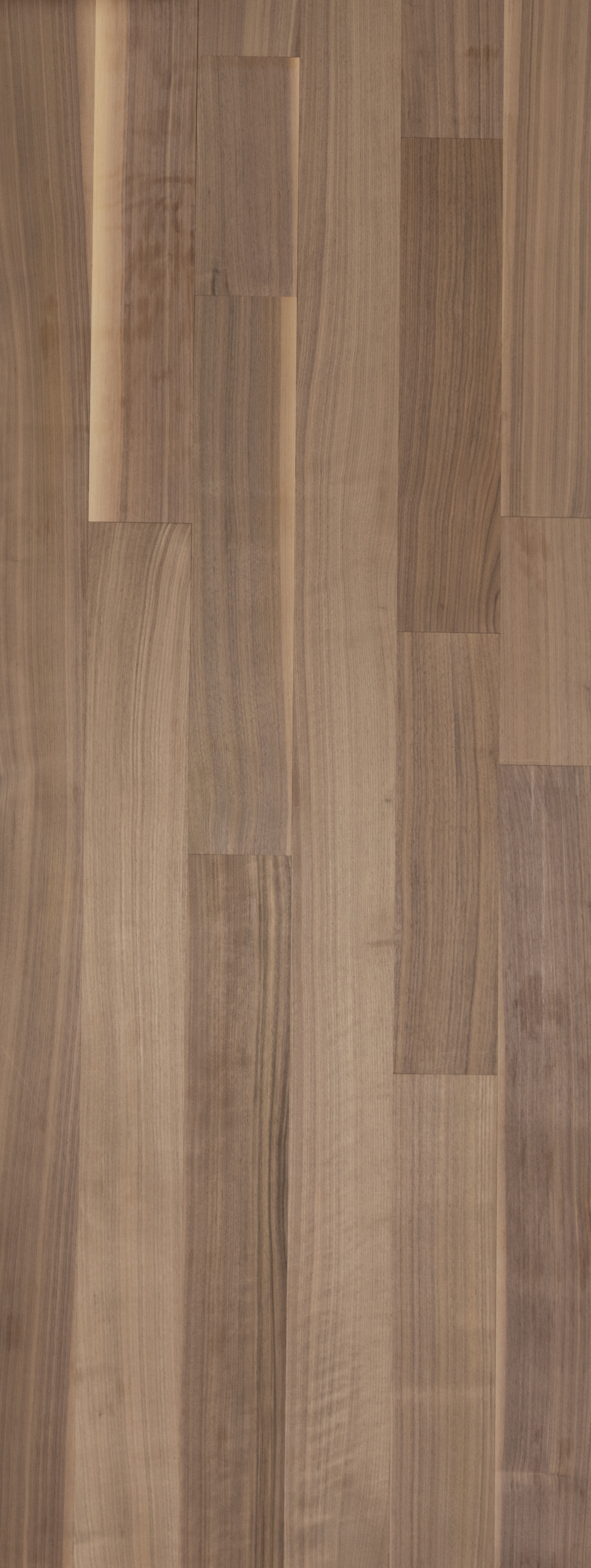 5" Walnut Select and Better Missouri