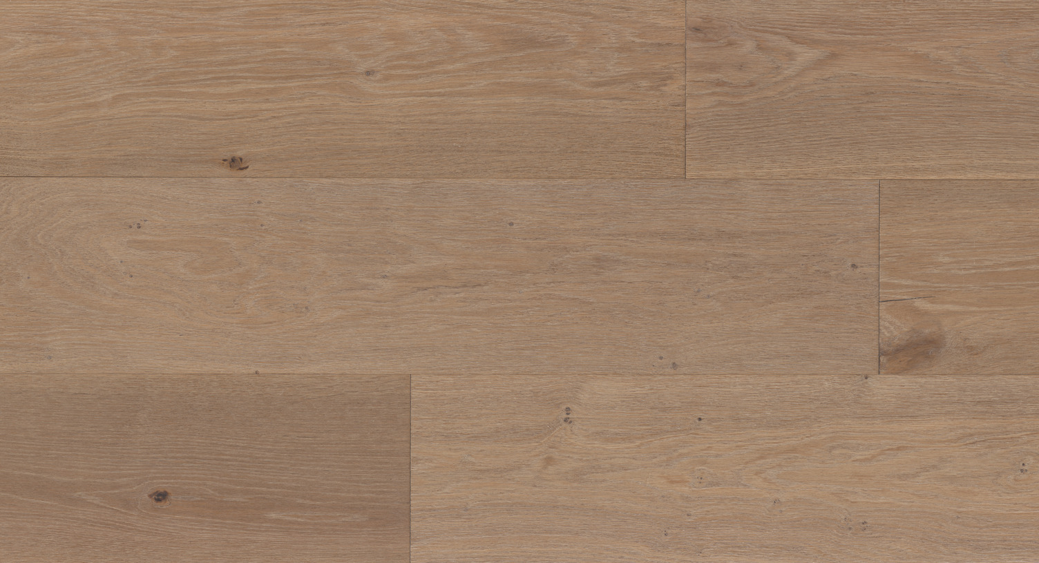 Stonyhurst – European White Oak