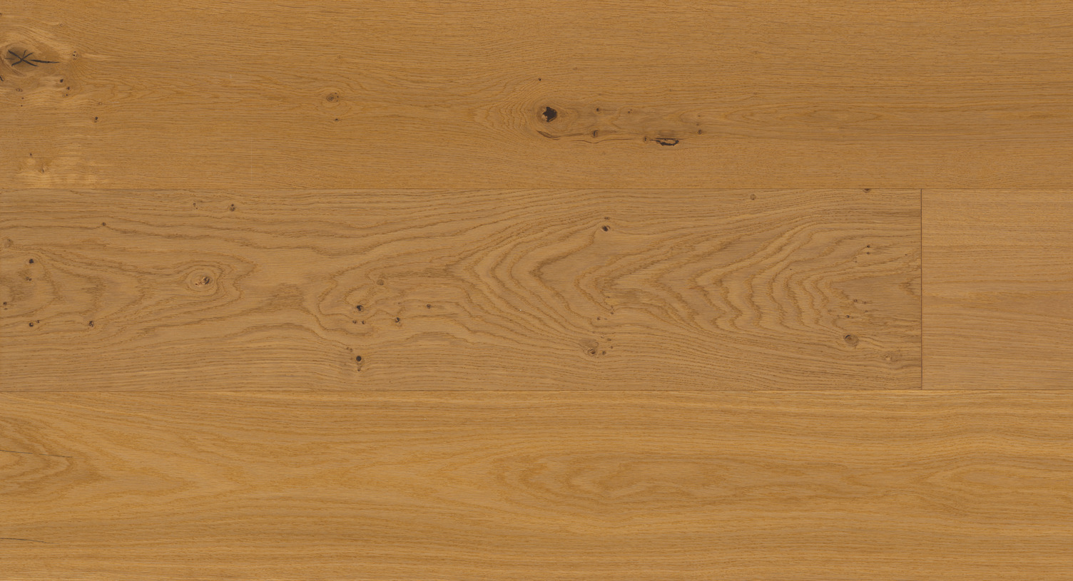 Haraden – European White Oak