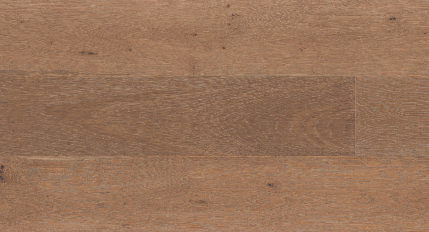 Bolton – European White Oak