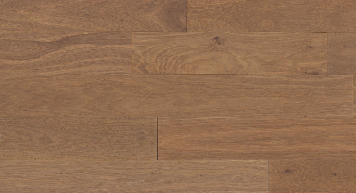 Surrey – European White Oak