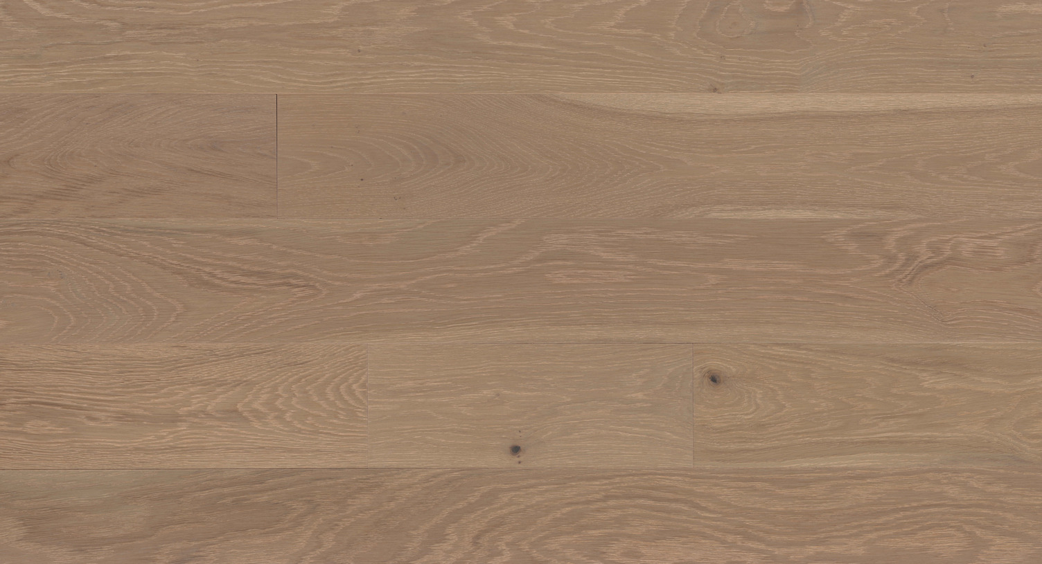 Harroway – European White Oak