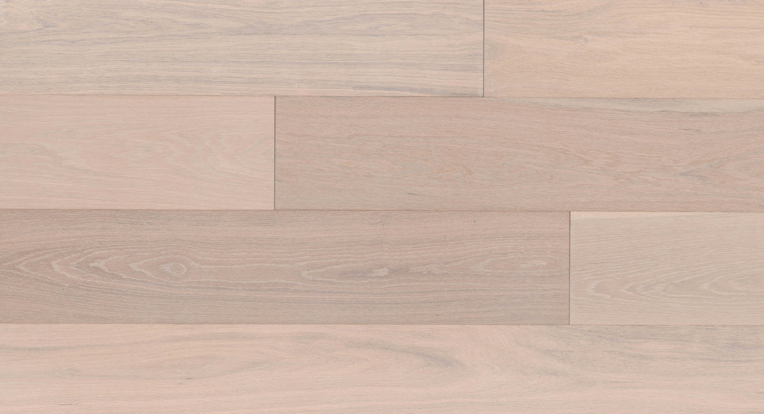 Galway – European White Oak 1'-6'