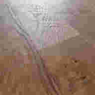Storehouse Plank Cask Room Scene - 2.jpeg