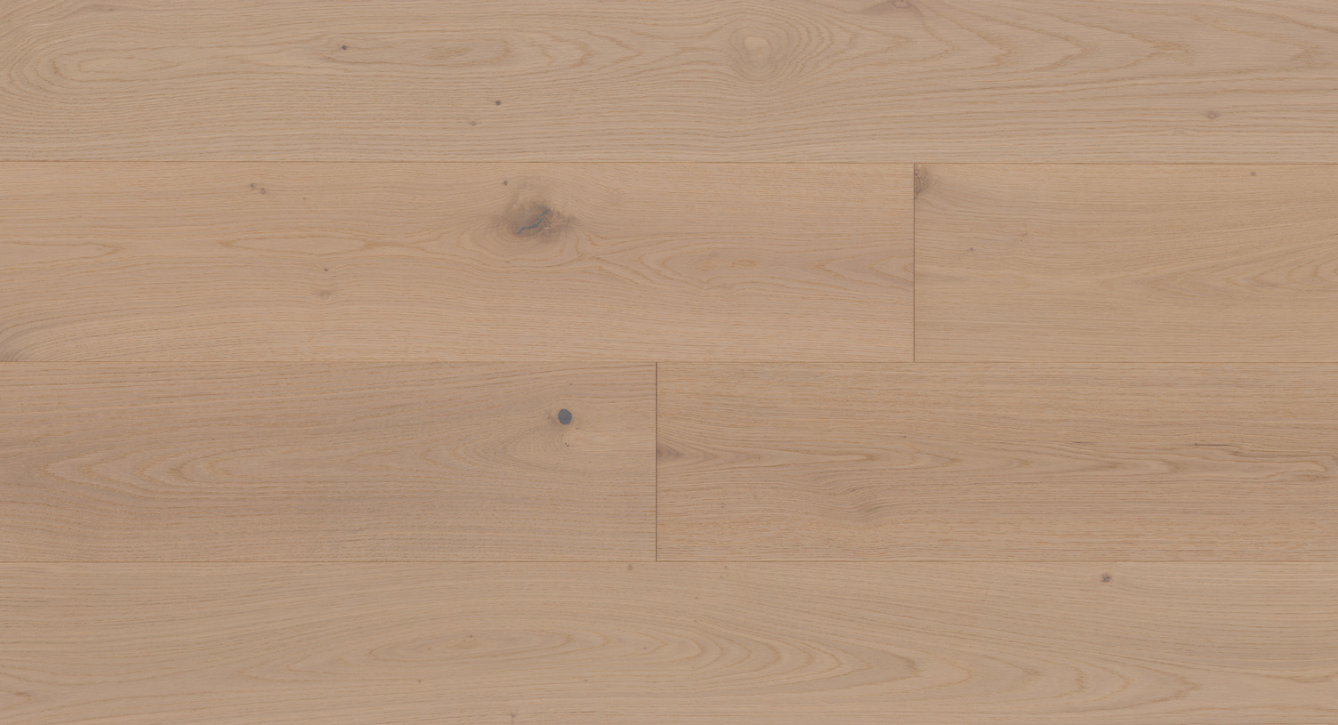 Regatta – European White Oak