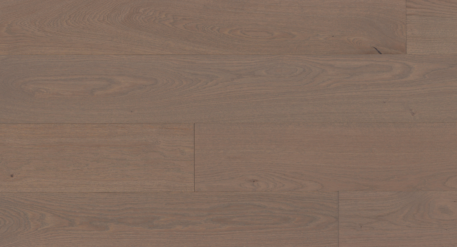 Glencar – European White Oak