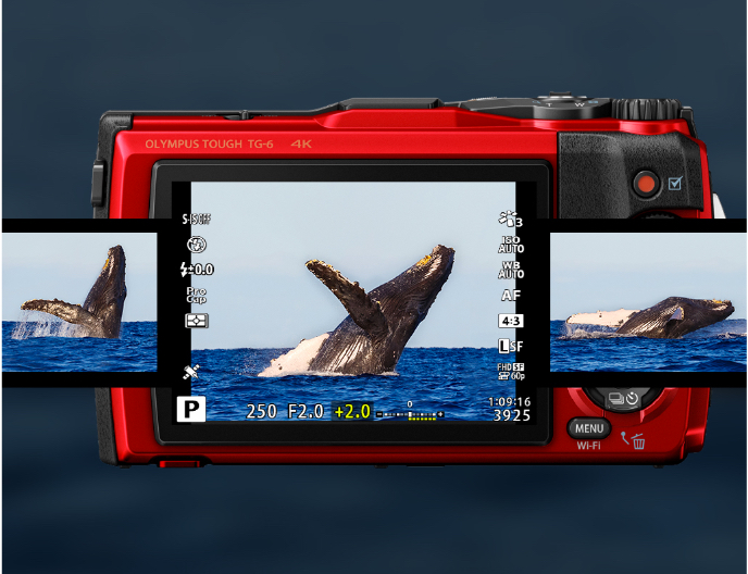 OM System TG-6 12MP f/2.0 4X 3