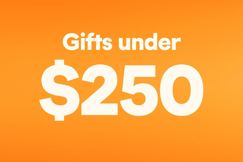 Gift ideas under $250