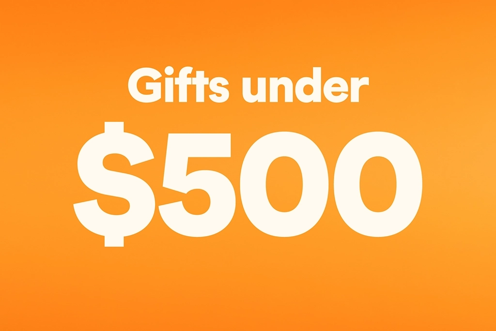 Gift ideas under $500