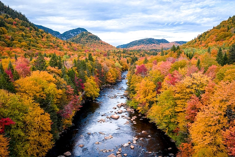Boreal Forest autumn landscape in Quebec, Canada