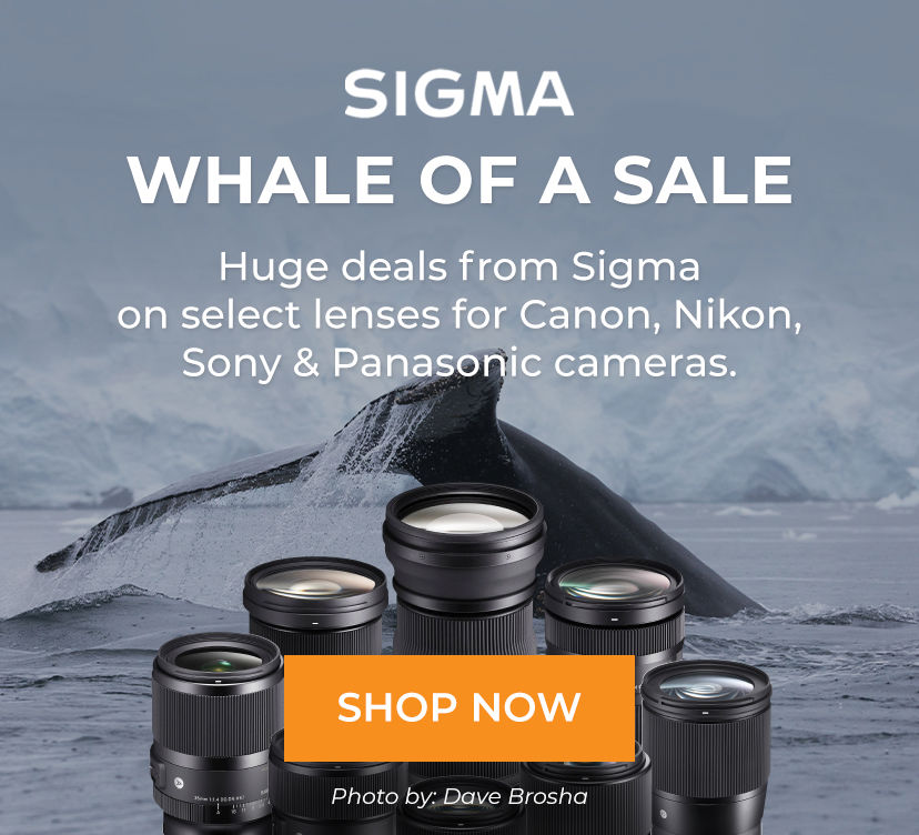 Sigma Whale of a Sale