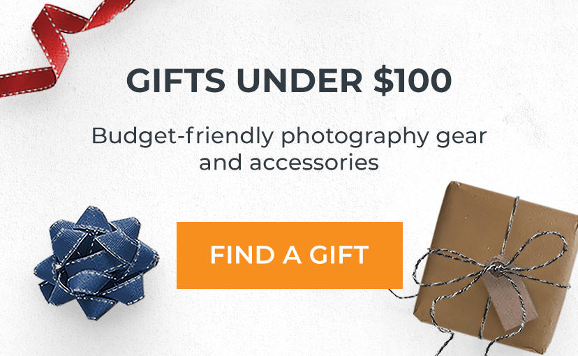Gifts Under $100