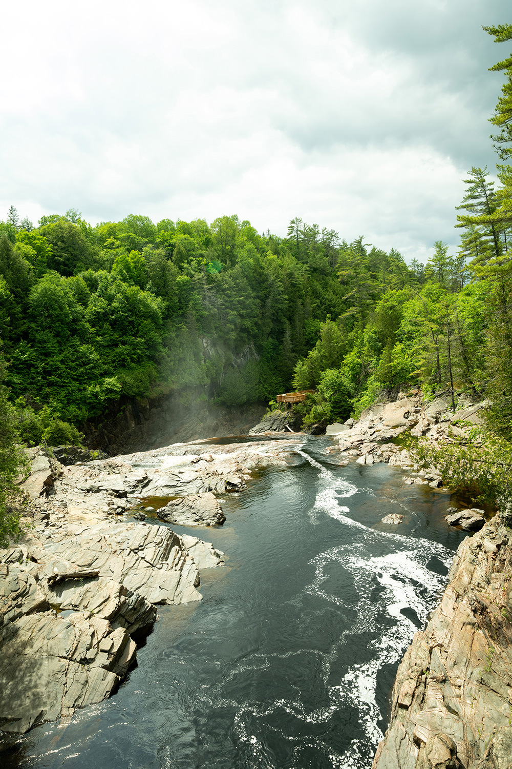 Henry's Creator at our Ottawa, ON store - Mathew Karikas
