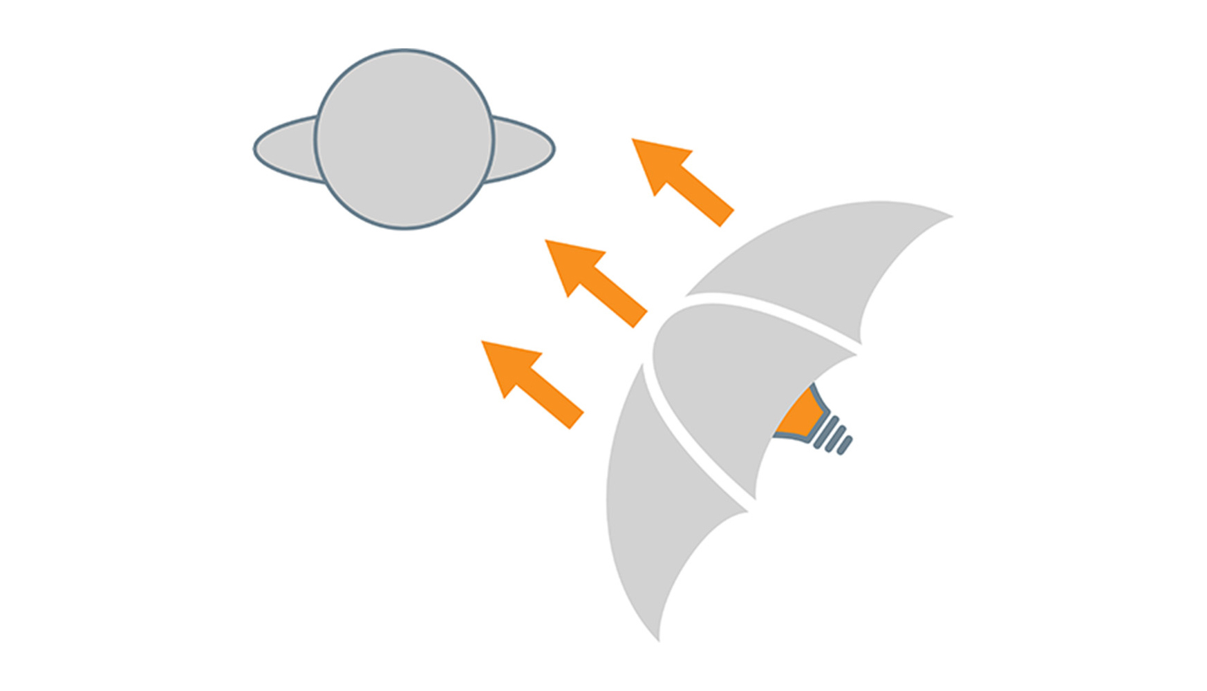 diagram of a shoot through umbrella