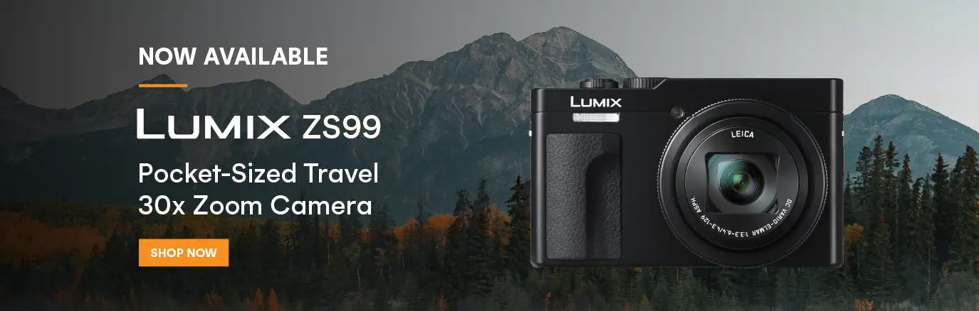 Panasonic DCZS99K