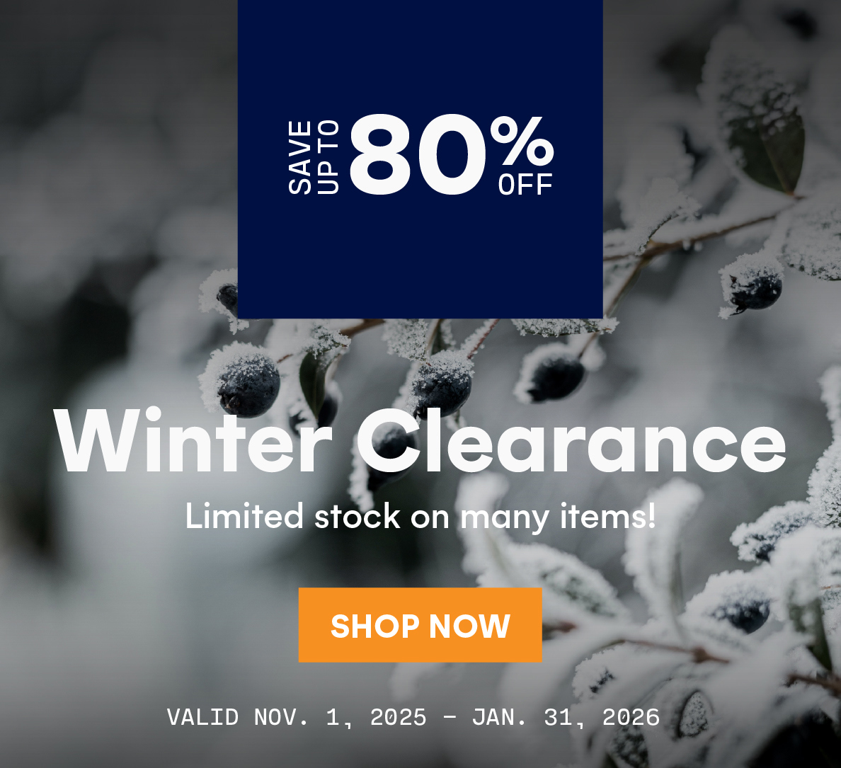 Winter Clearance Sale - Save up to 80% off! 