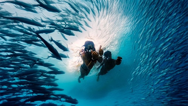 Read "Celebrating Creativity: Highlights from Henry’s World Photography Day Contest" on Henry's Blog
