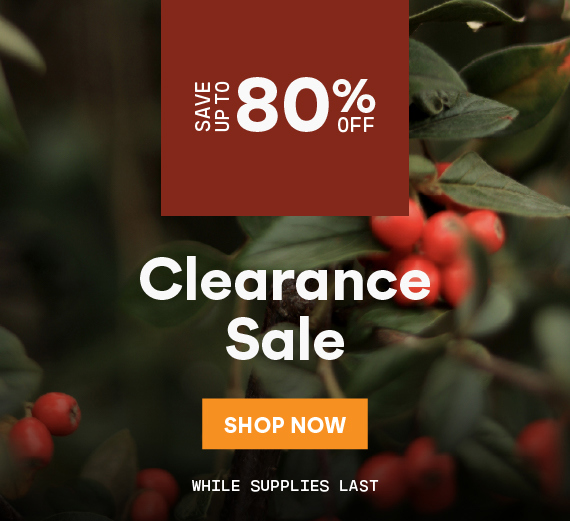 Clearance Sale on now! Save up to 80%