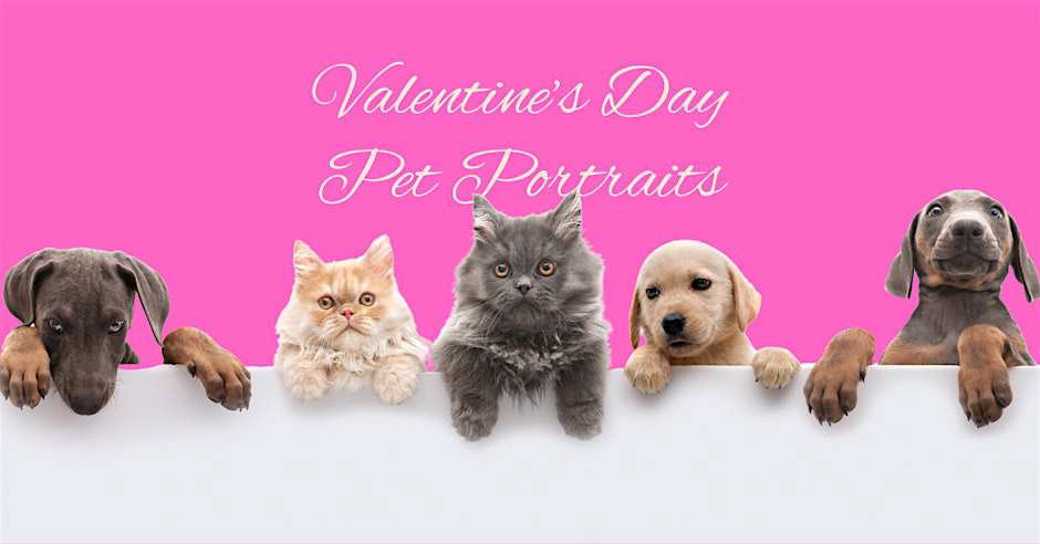 Event-Kitchener-Valentines-Pet-Photo-02082026.jpg