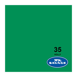 Savage  53 In. x 36 ft. Widetone Seamless Background Paper Roll