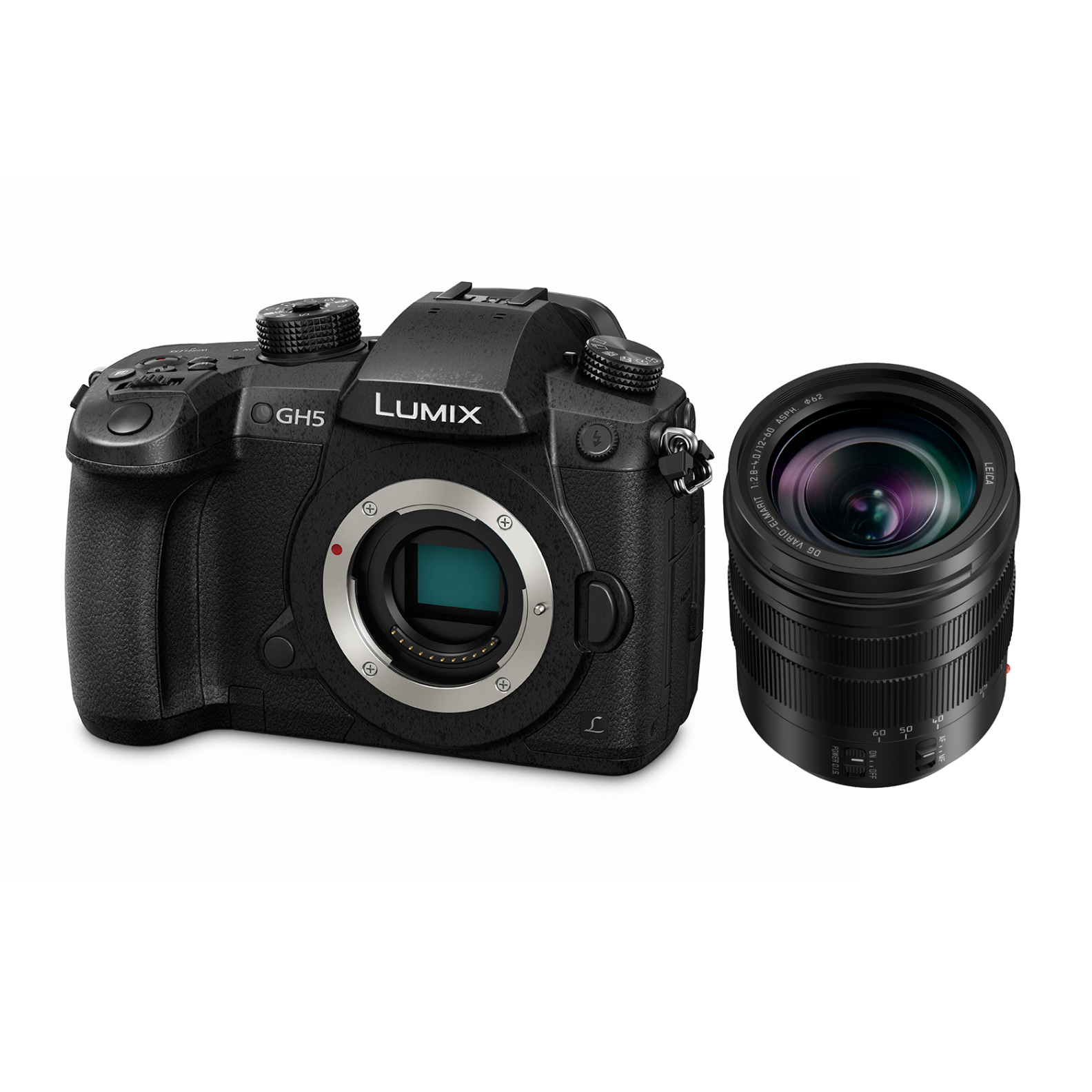 Panasonic Lumix GH5 with 12-60mm Leica Lens | Henry